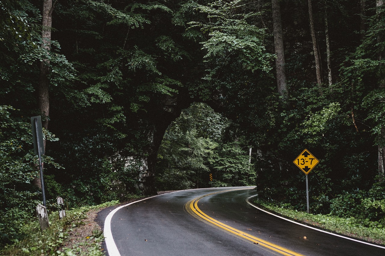 揭秘城市脉络的艺术——探析道路交通标线的科学与艺术