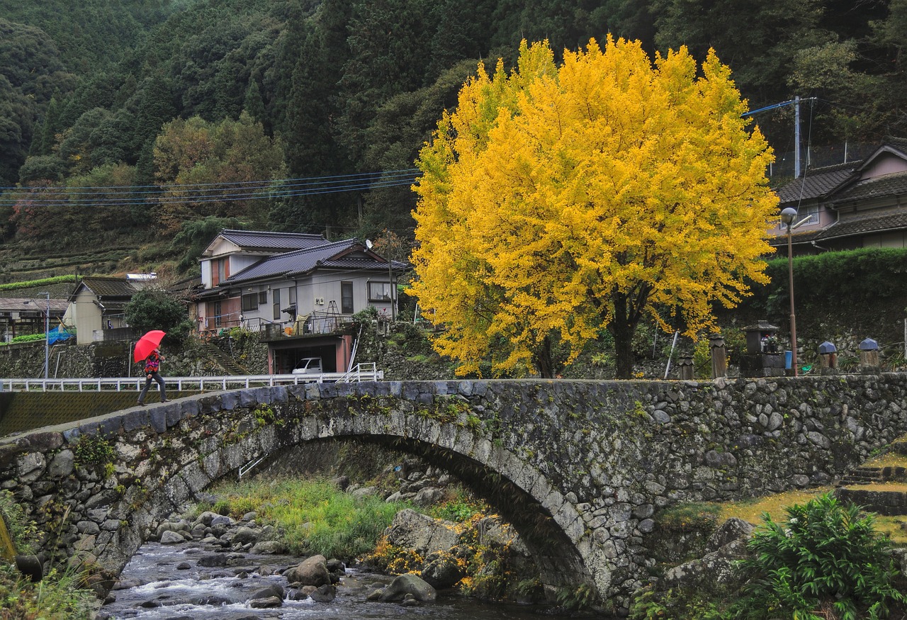 全国赏秋地图出炉，带你领略五彩斑斓的秋季美景